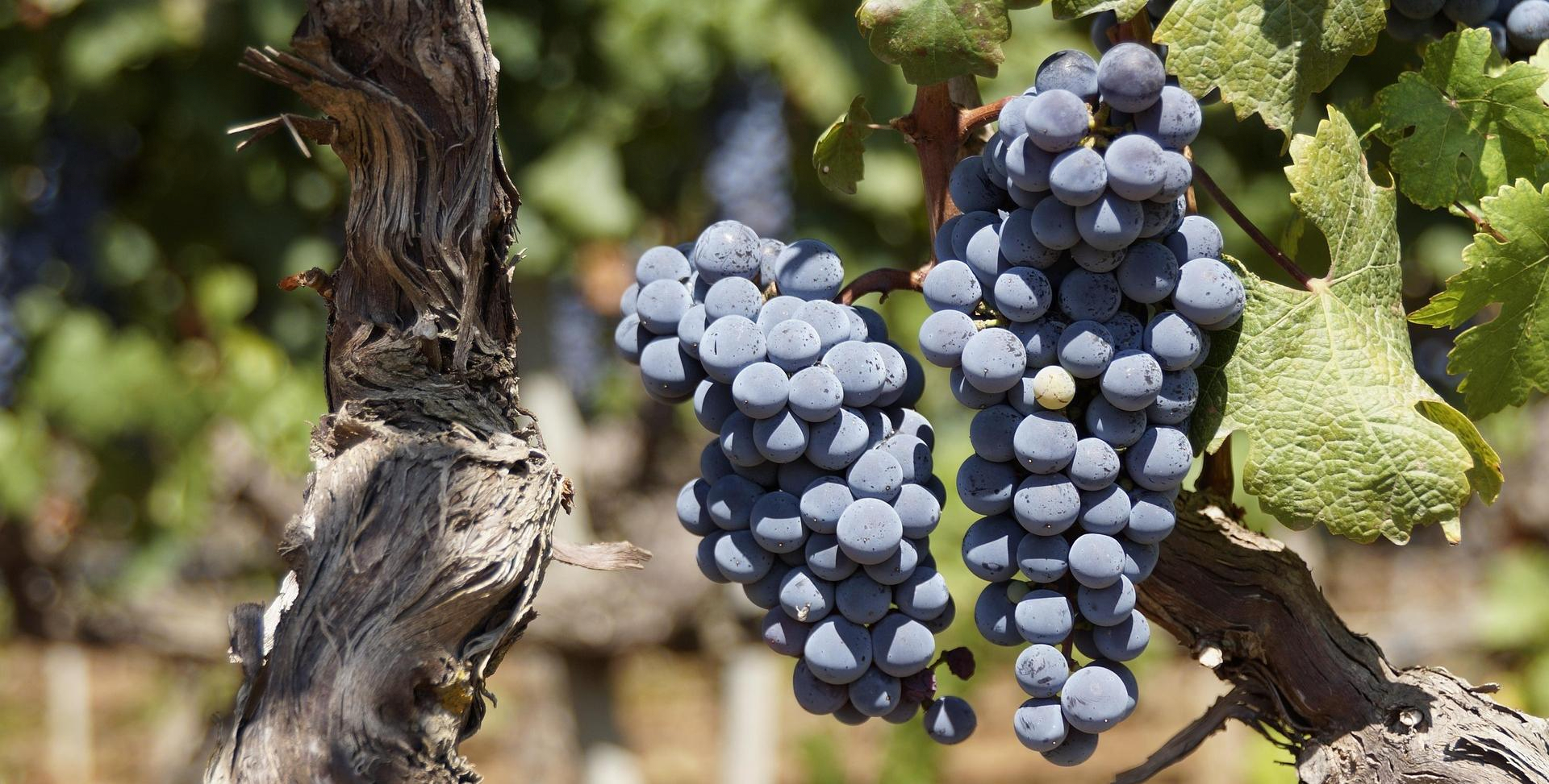 2026.03.14 Vitale Gemeinde Workshop